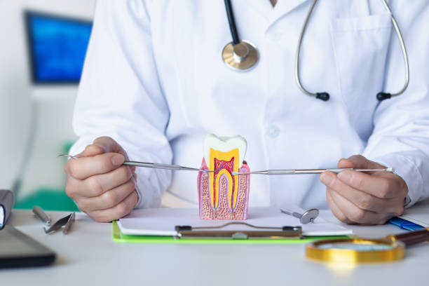 Best Emergency Tooth Extraction in Lake City, IA
